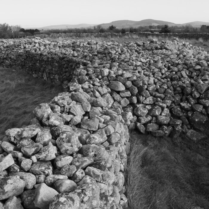 Le Rathgall Hillfort - nilachseall - cc