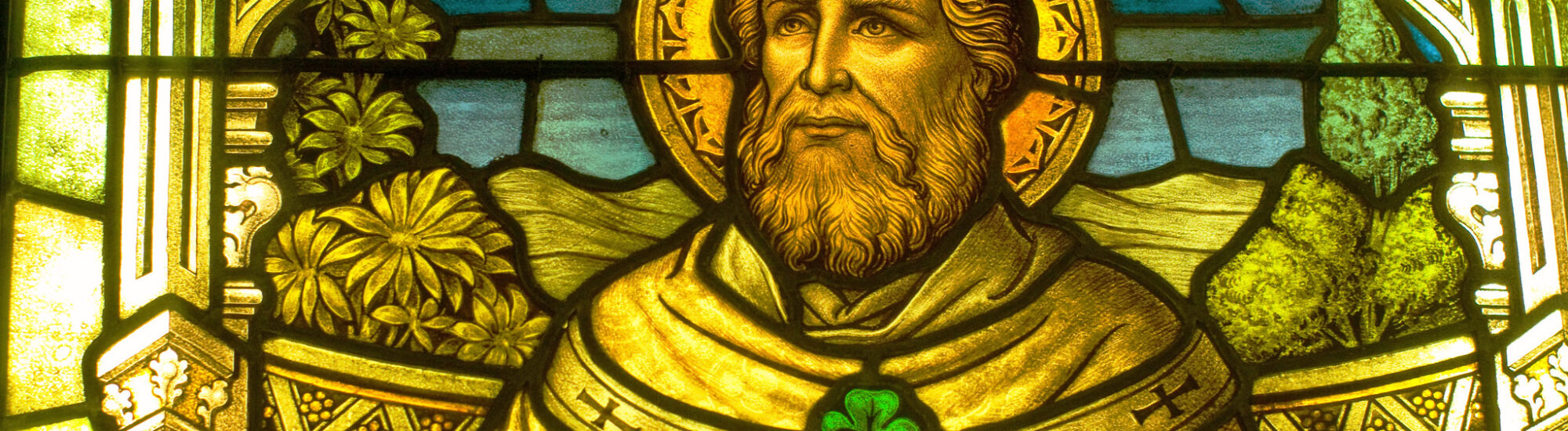 Saint-Patrick et son trèfle à 3 feuilles - Thad Zajdowicz - cc