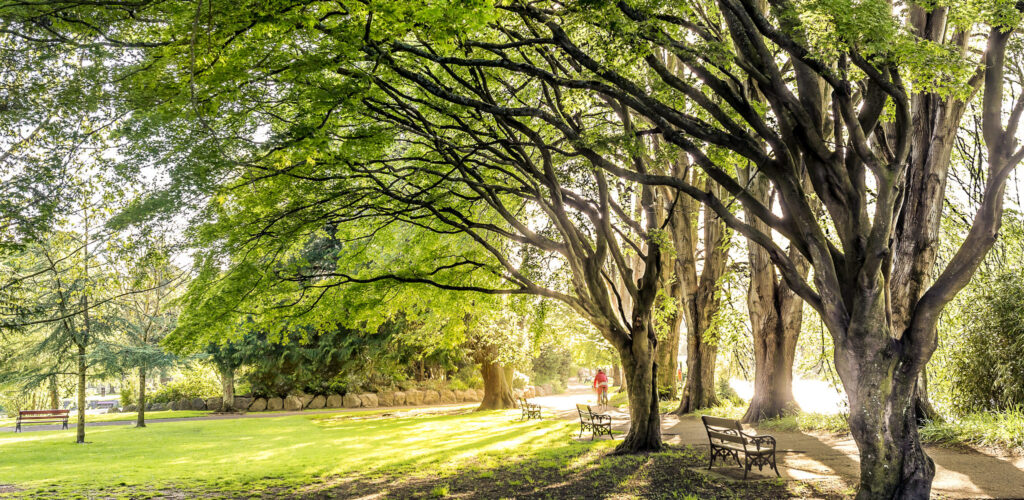Le Fitzgerald park de Cork - Vincent Moschetti - cc