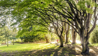 Le Fitzgerald park de Cork - Vincent Moschetti - cc