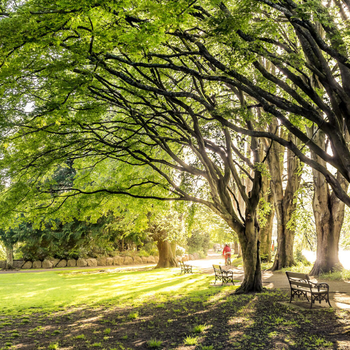 Le Fitzgerald park de Cork - Vincent Moschetti - cc