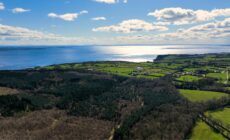 Le Lough Neagh - © peter