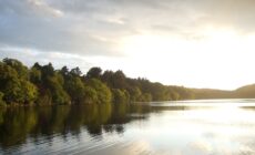 Le Castlewellan Park - Stephen Trew - cc