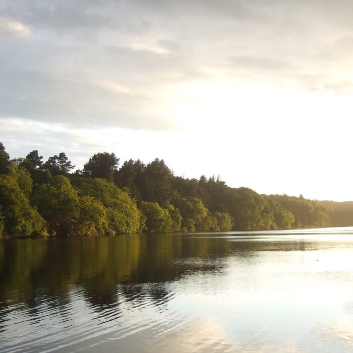 Le Castlewellan Park - Stephen Trew - cc