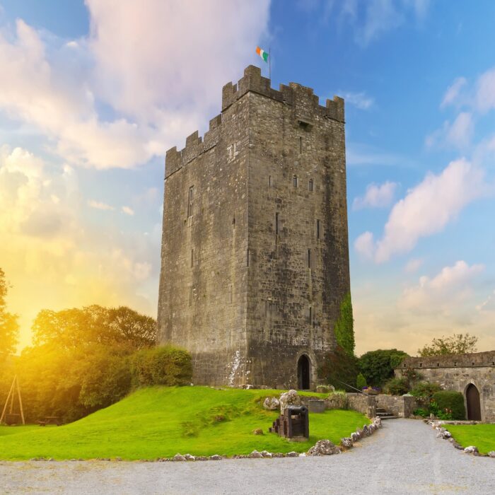 Le O'Dea Castle - © Patryk Kosmider