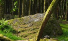 Gougane Barra Forest Park - Tyler Ott - cc