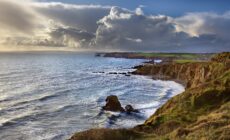La Copper Coast - Michael Foley - cc
