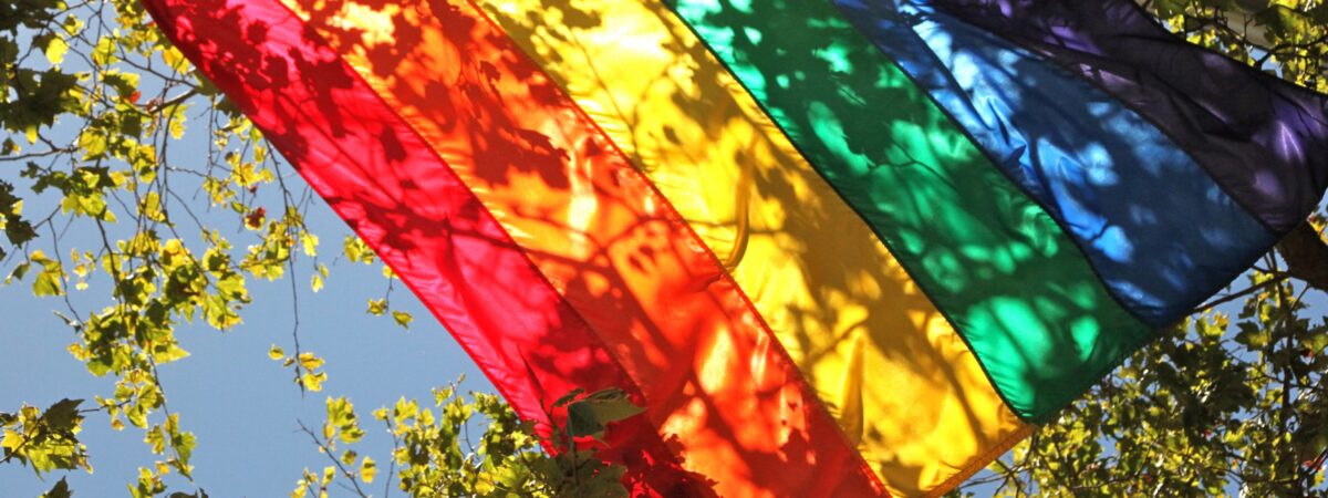 Drapeau de la gay pride - torbakhopper - cc