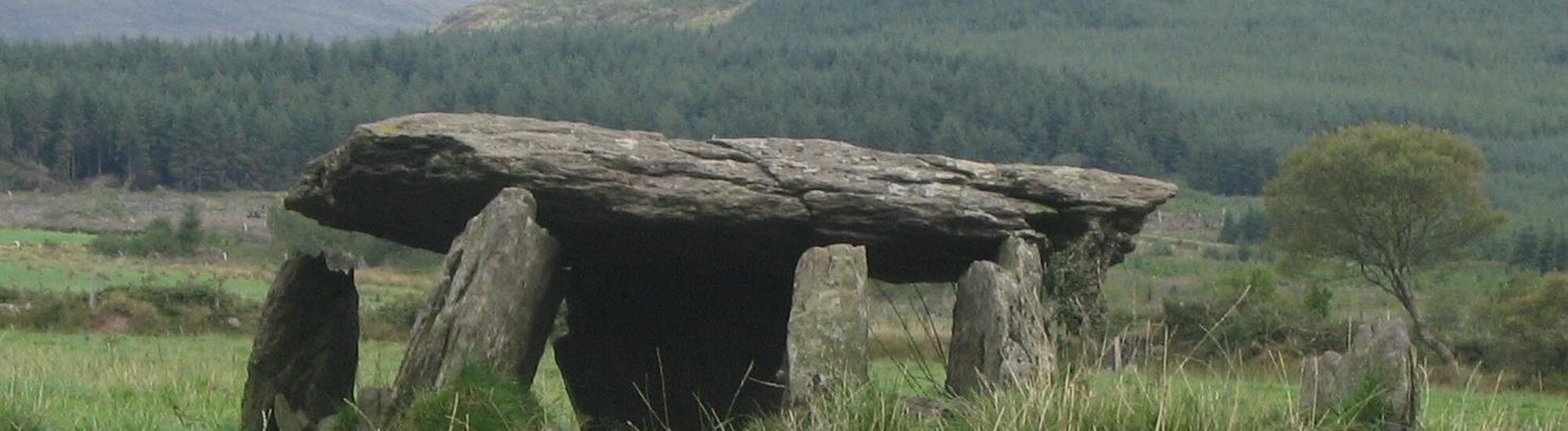 Glantane East - Coil00 - cc
