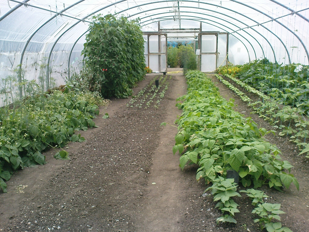 The Organic Centre de Rossinver - karenandkerry - cc
