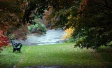 Les Mount Usher Gardens - Ben Crowe - cc