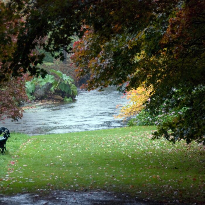 Les Mount Usher Gardens - Ben Crowe - cc