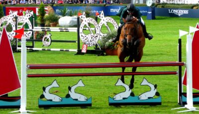 Le Dublin Horse Show - Alison Killilea - cc