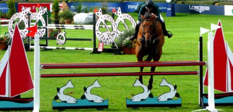 Le Dublin Horse Show - Alison Killilea - cc