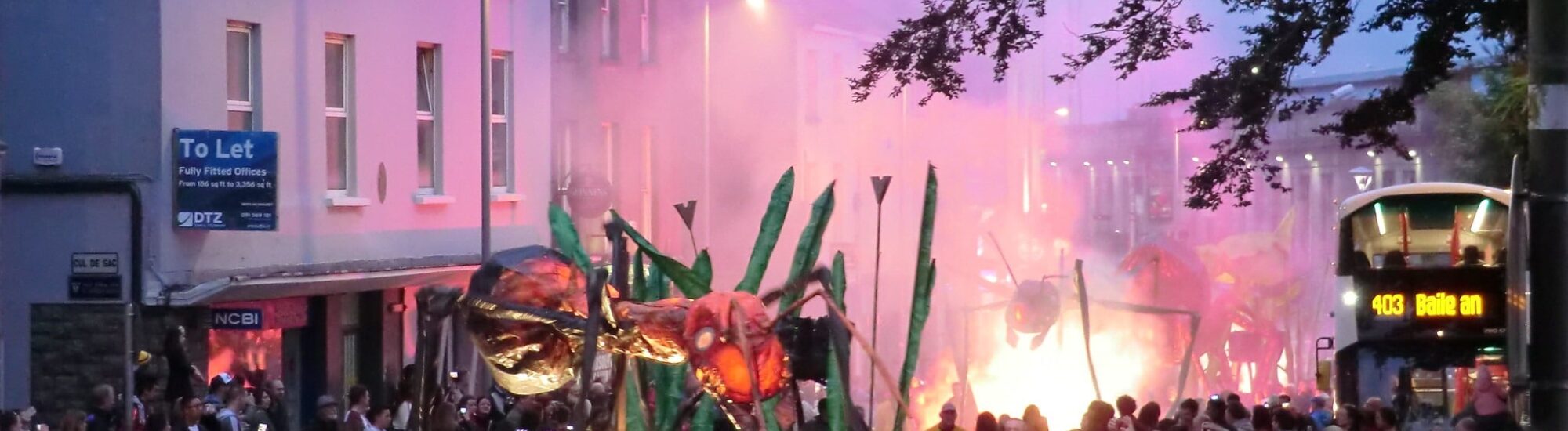 Le Galway Art Festival - dchrisoh - cc