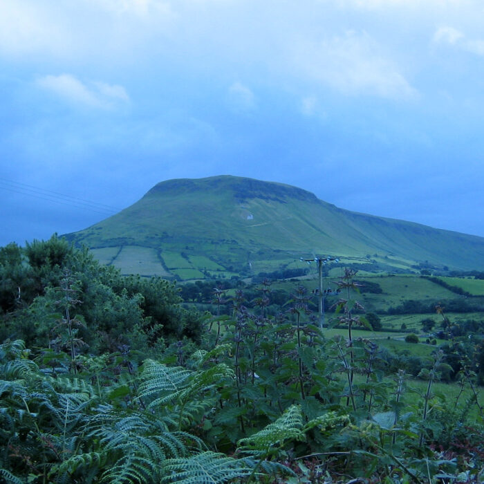 La Tievebulliagh Mountain - Ch@zza