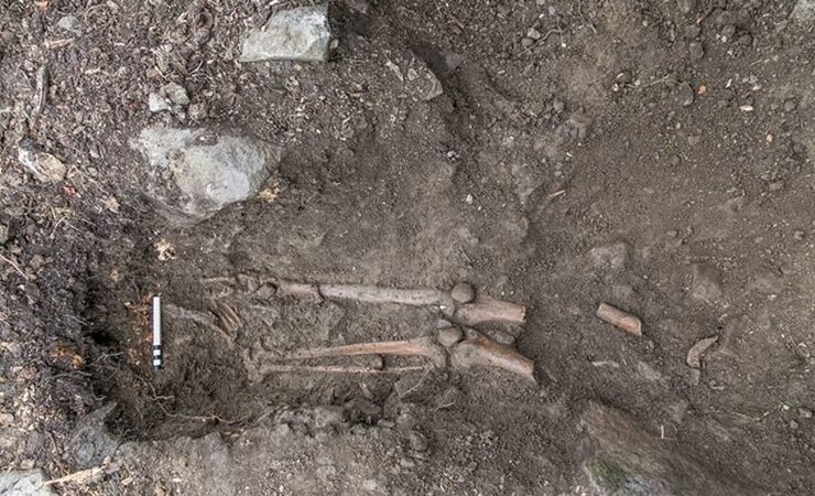 Ossements trouvés sous l'arbre de Collooney