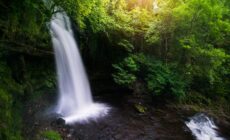 La Glencar waterfall – Tom Archer – cc