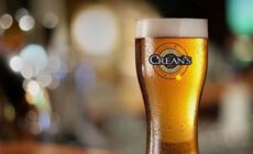 La Tom Crean's - Dingle Brewing Company