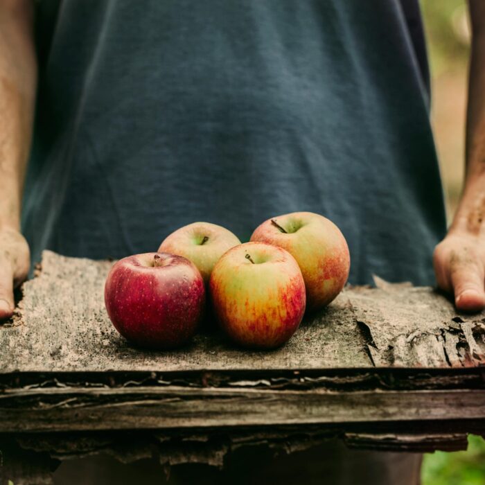 Des pommes Bramley - mythja