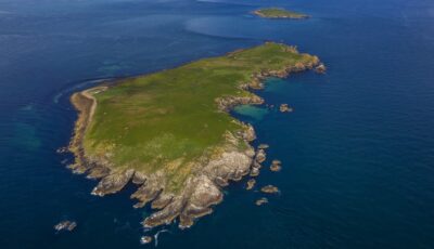 Vue aérienne de la Great Saltee Island - © Peter Krocka