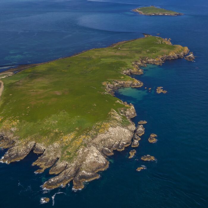 Vue aérienne de la Great Saltee Island - © Peter Krocka