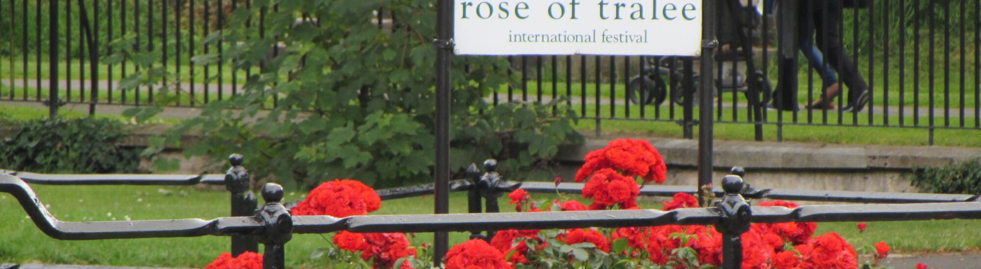 La Rose of Tralee - Pmk58 - cc