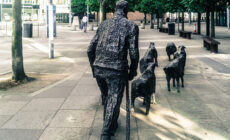 La Sheep on the Road - William Murphy - cc