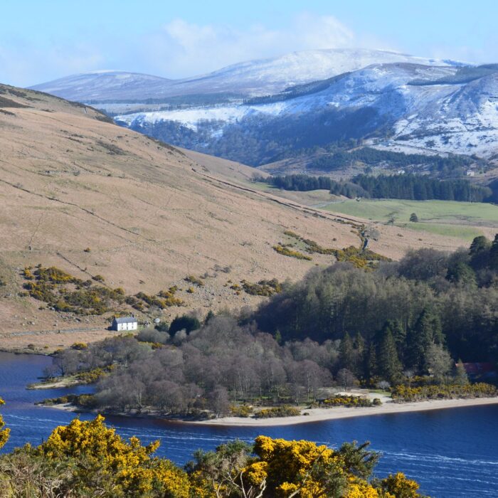 Le Lough Dan - Panpan Lin - cc