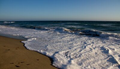 Une plage naturiste – Jason Mrachina – cc