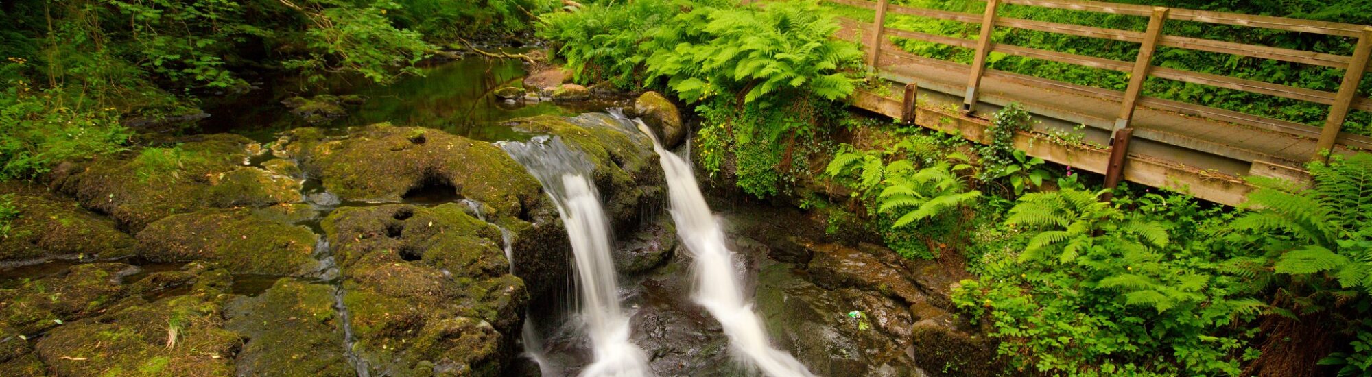 Le Glenariff Forest Park - Umberto Nicoletti - cc