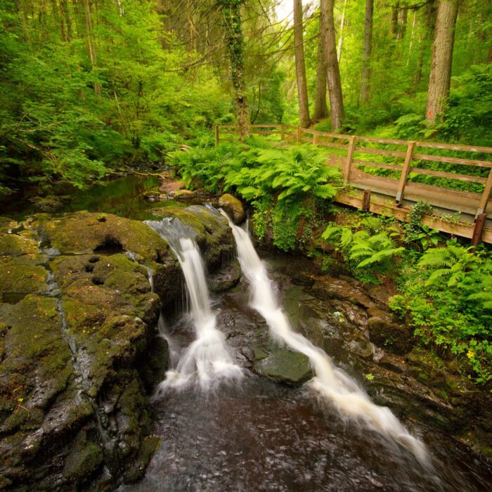 Le Glenariff Forest Park - Umberto Nicoletti - cc