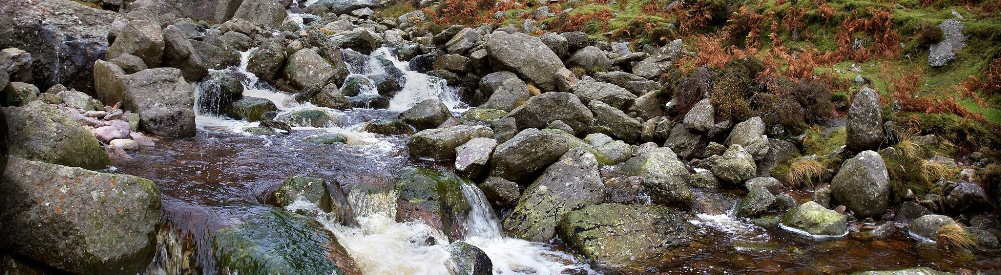 Les Mahon Falls -  Michael Foley - cc