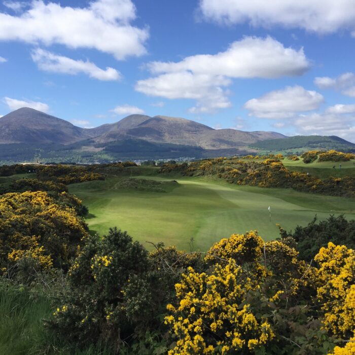 Le Royal County Down Golf - © SJ