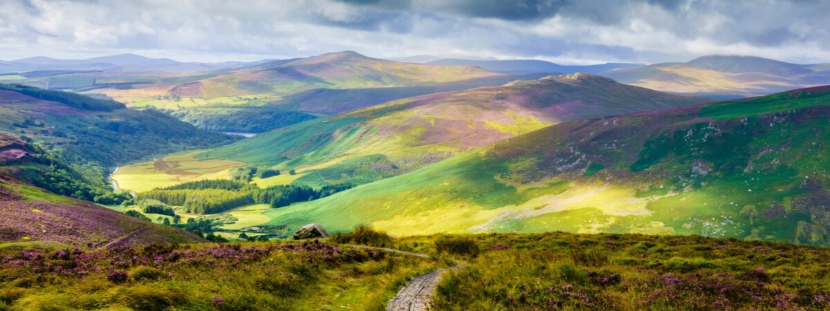 La Wicklow Way - © Monsieur Olivier