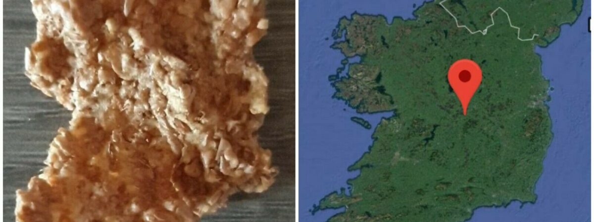 Un corn-flake en forme d’Irlande mis en vente sur ebay à 112€