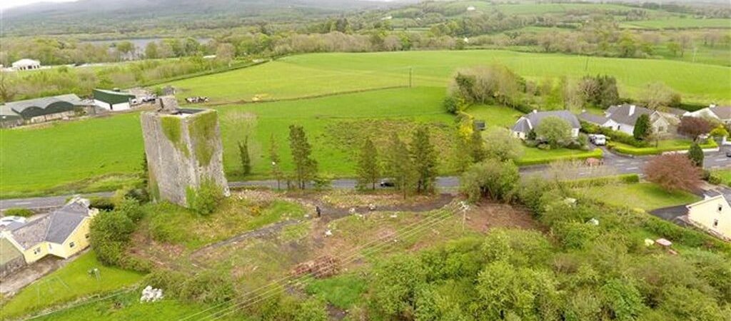 Le Mountcashel castle actuellement en vente - MyHome.ie