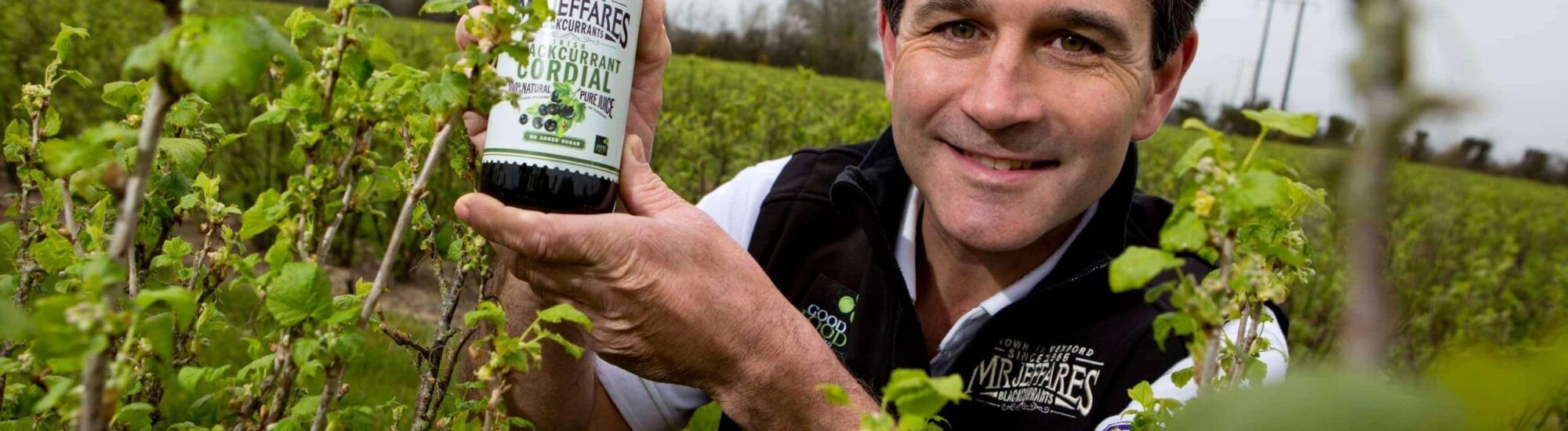 Du Blackcurrant
