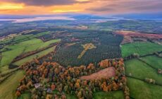 Une croix celtique s'est formée en pleine forêt du comté de Donegal en Irlande - Gareth Wray