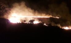 Le Parc National de Killarney a été victime d'un incendie cette nuit