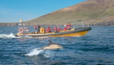 Le bateau du Dingle Sea Safari - www.dingleseasafari.com