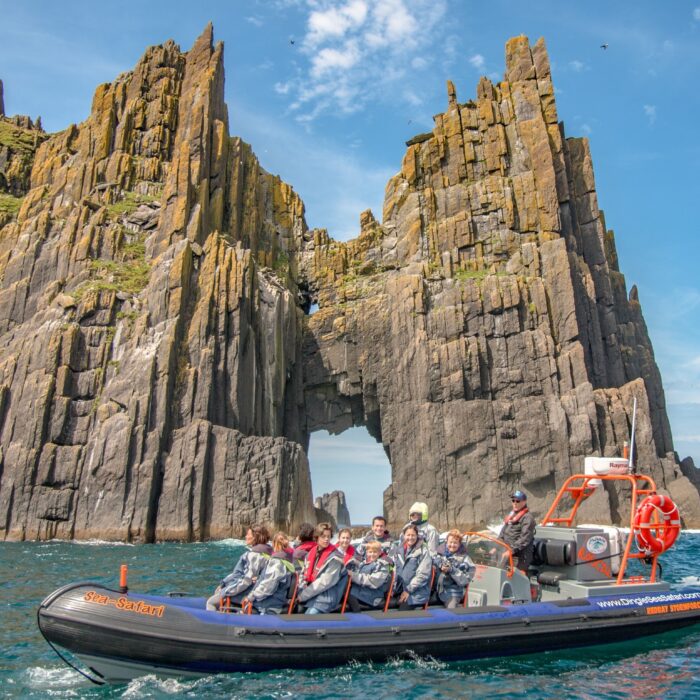Le bateau du Dingle Sea Safari - www.dingleseasafari.com