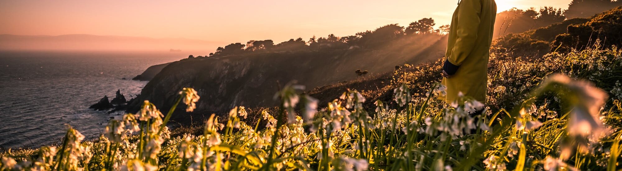 Le Howth Cliff Path - Giuseppe Milo - cc