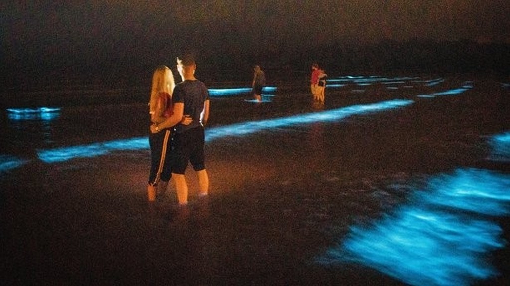 La Fountainstown beach illuminée par du plancton