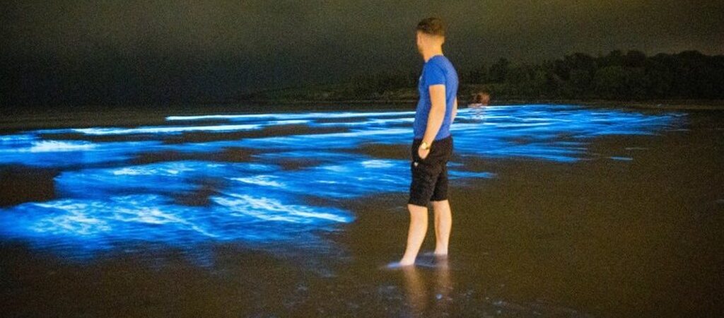 Insolite : du plancton bioluminescent éclaire une plage du comté de Cork en Irlande !
