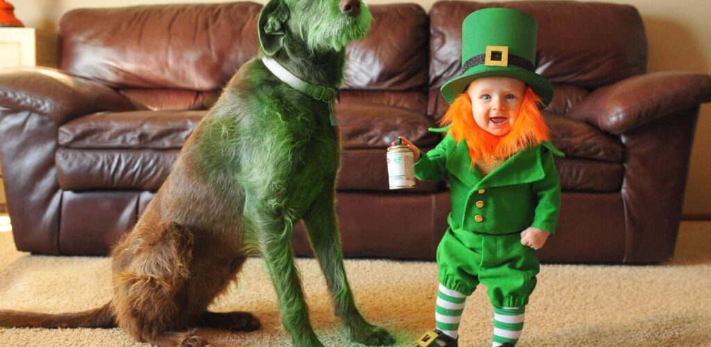 Le bébé leprechaun de Thatdadblog