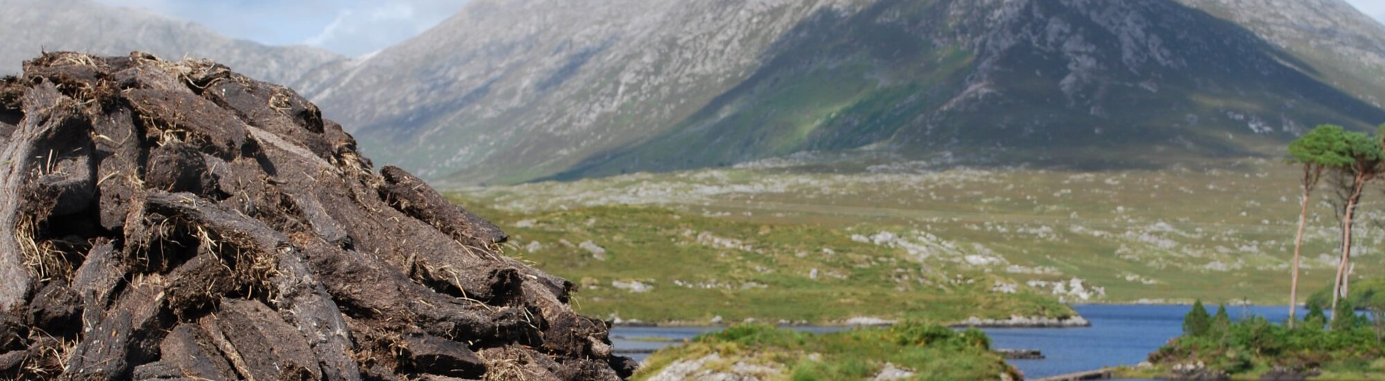 Tourbières irlandaises