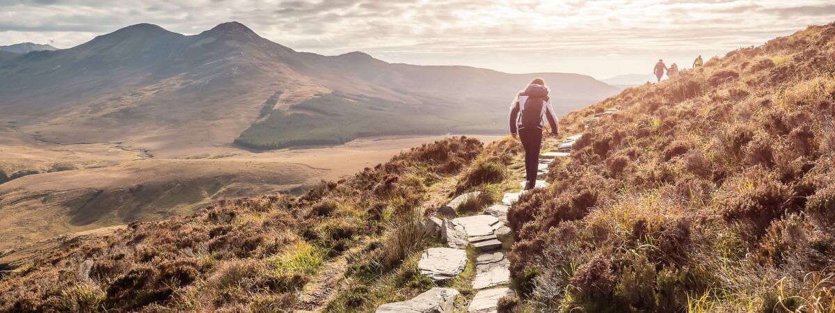 La Connemara Way - © mark_gusev