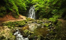 La Glenoe Waterfall - © Aleksei Demitsev