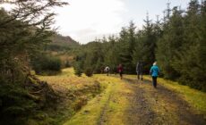 Le Letterkeen Loop Trail Head - © Darren Moran